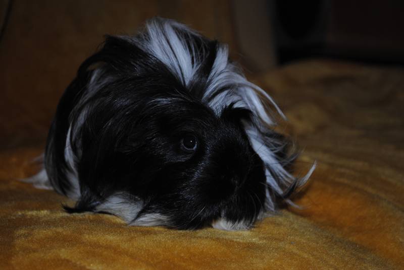 mojabudowa.pl - blog budowlany